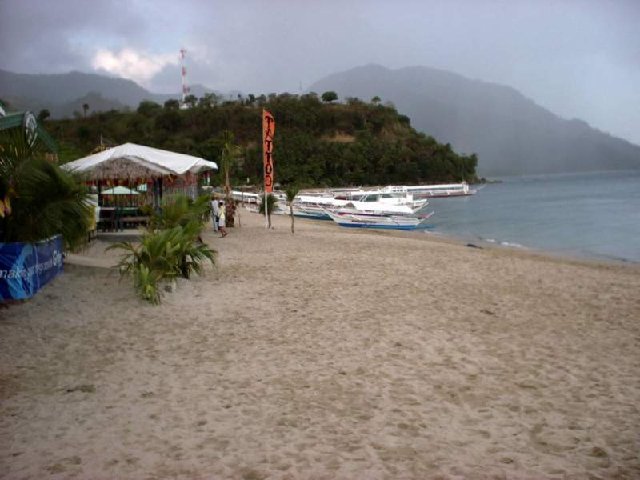 Photograph